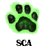  SCA 